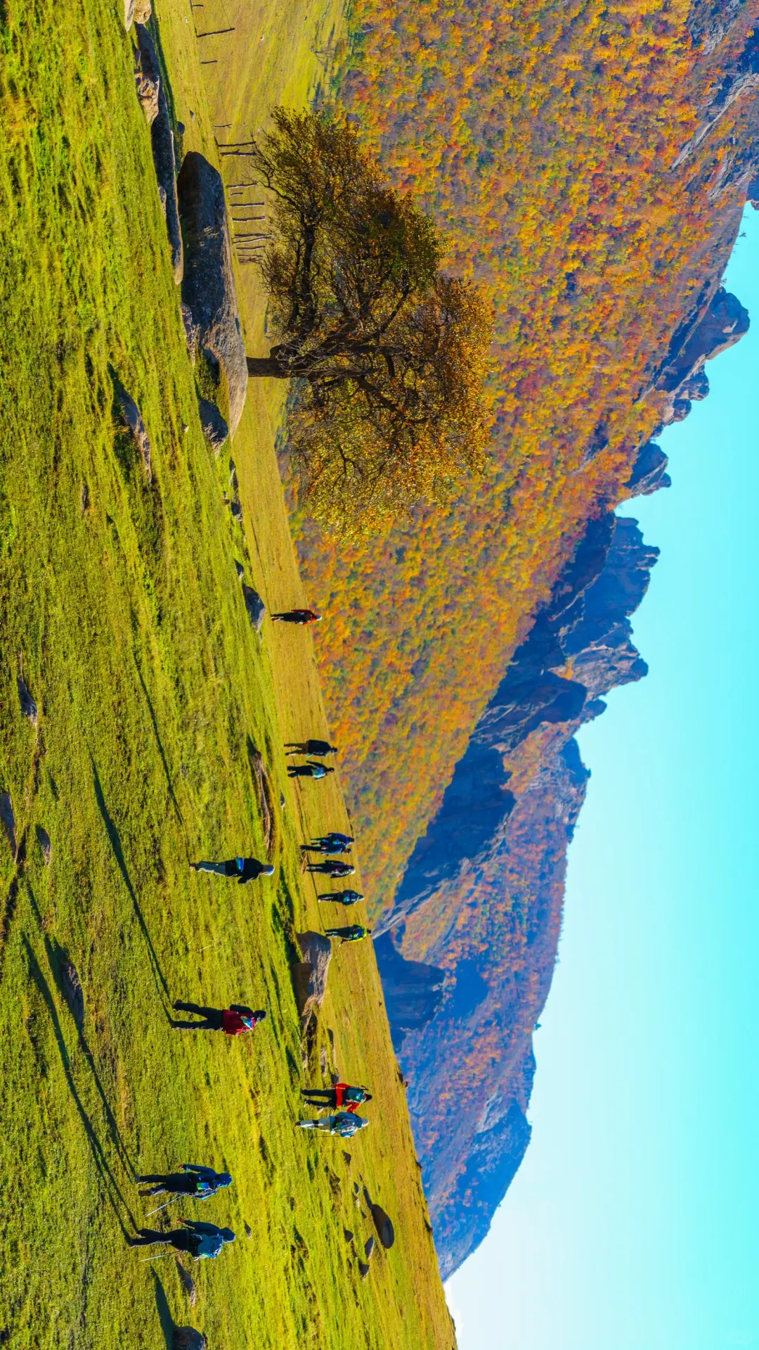接下来的这里🍁将进入封神级别的秋景模式