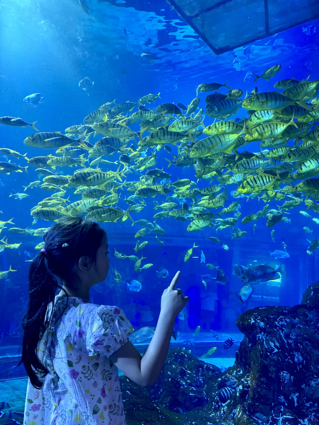 人生建议：带娃来威海一定要留一天给这里❗️