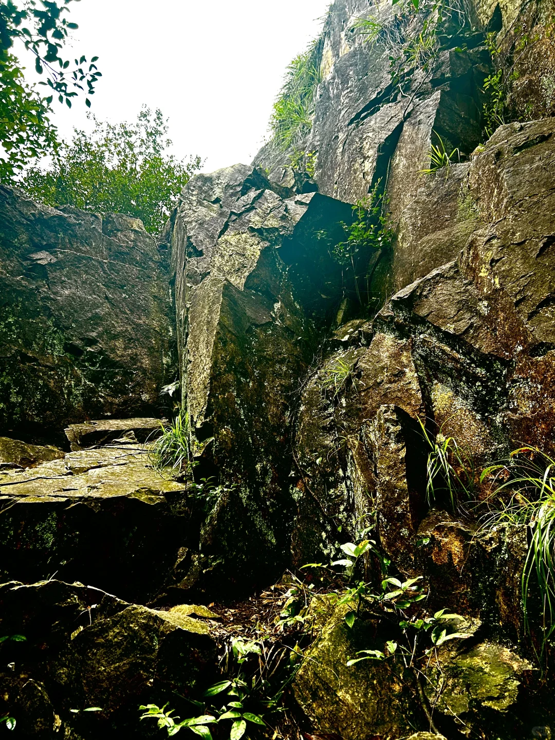 刀枪岩徒步｜手脚并用爬野山，解锁江南小华山