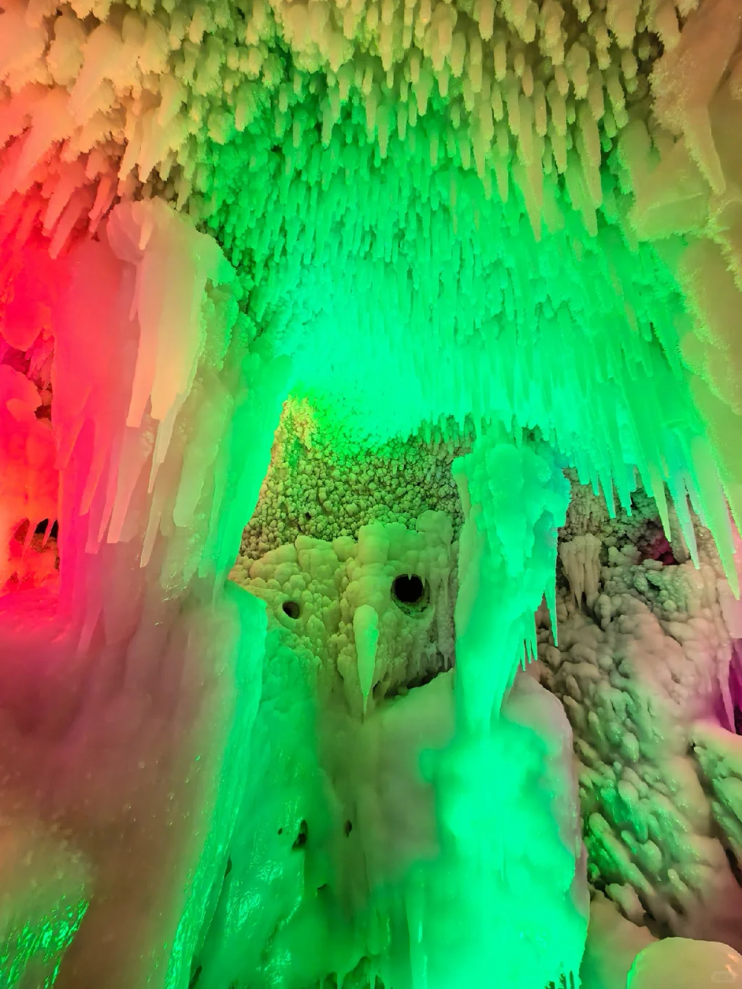 🌳江西铜鼓东浒！千年古樟与地下冰洞奇观