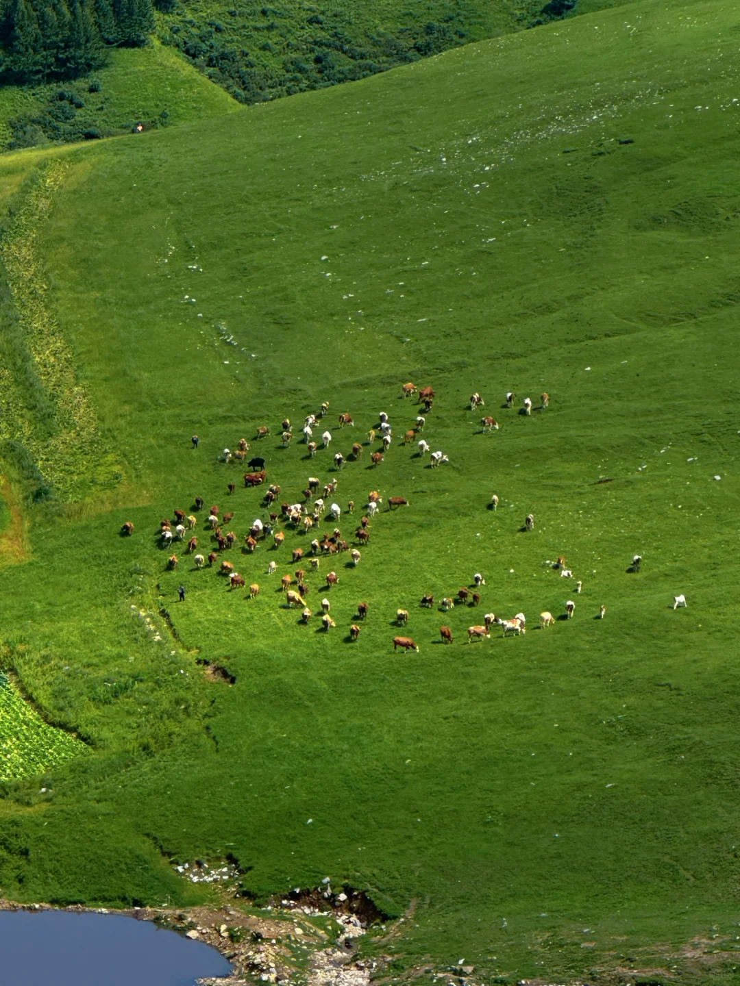 北京周边有自己的小瑞士⛰️