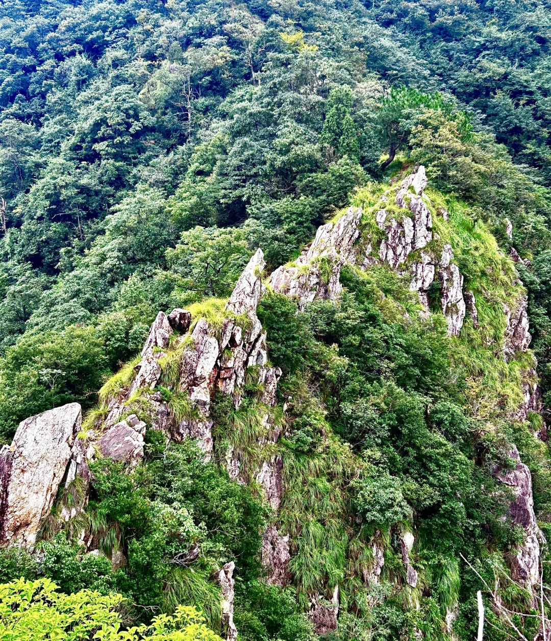 刀枪岩徒步｜手脚并用爬野山，解锁江南小华山