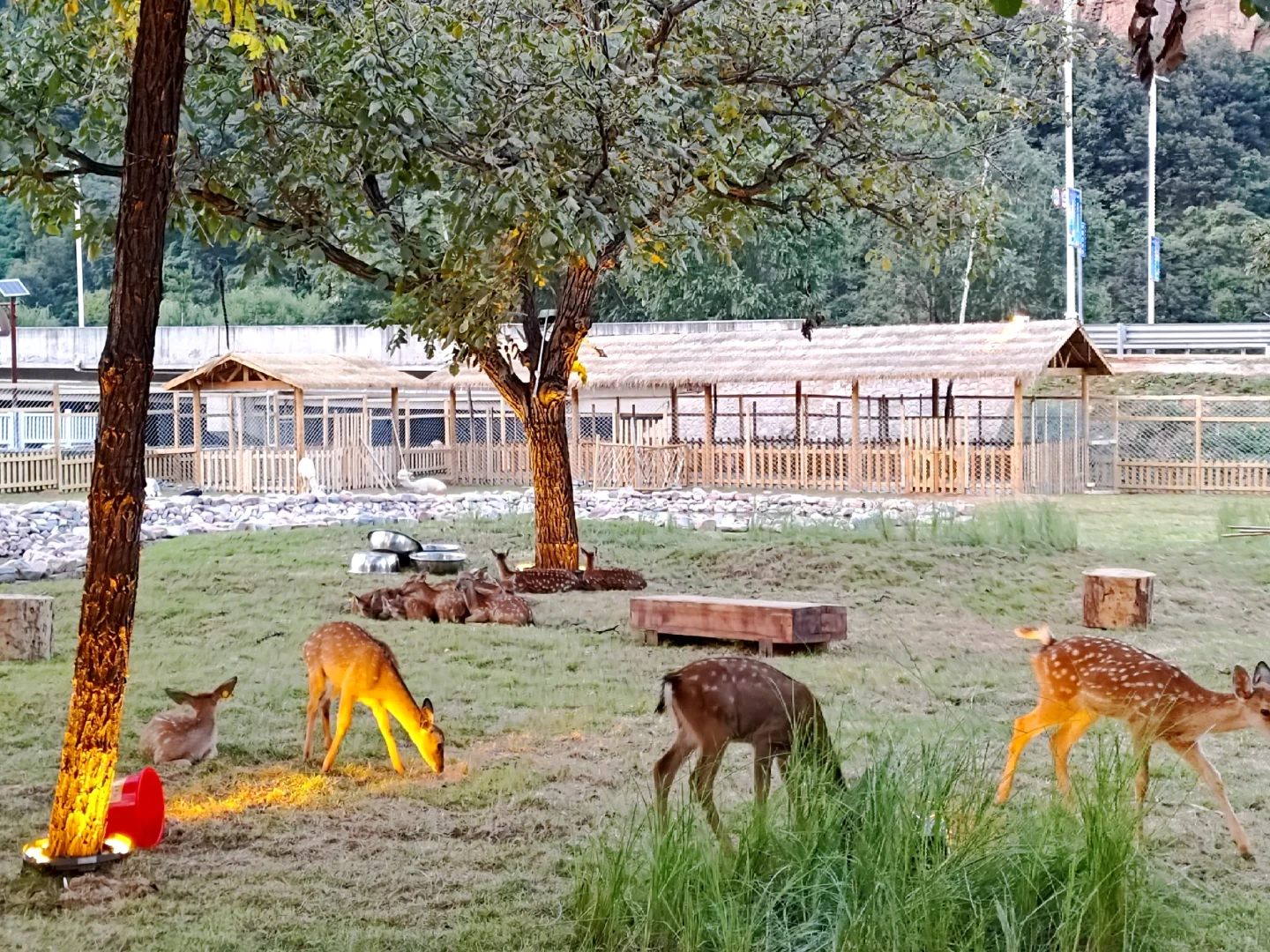 藏在河北武安山李的市集小镇