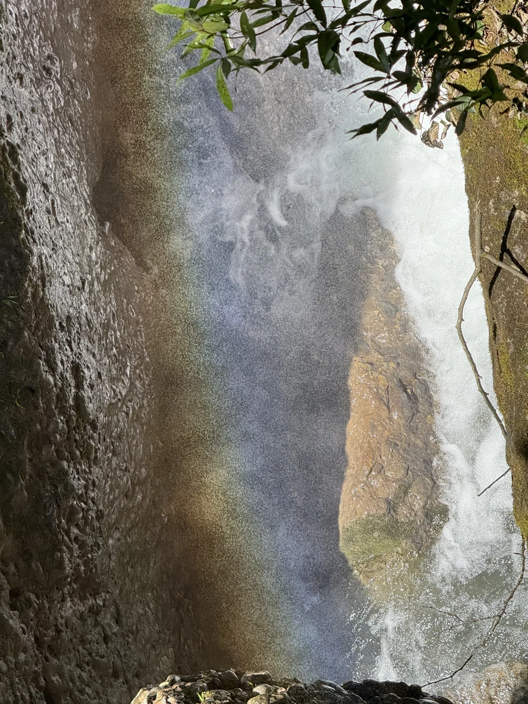 7.27日青城山后山一日游，已老实🥹