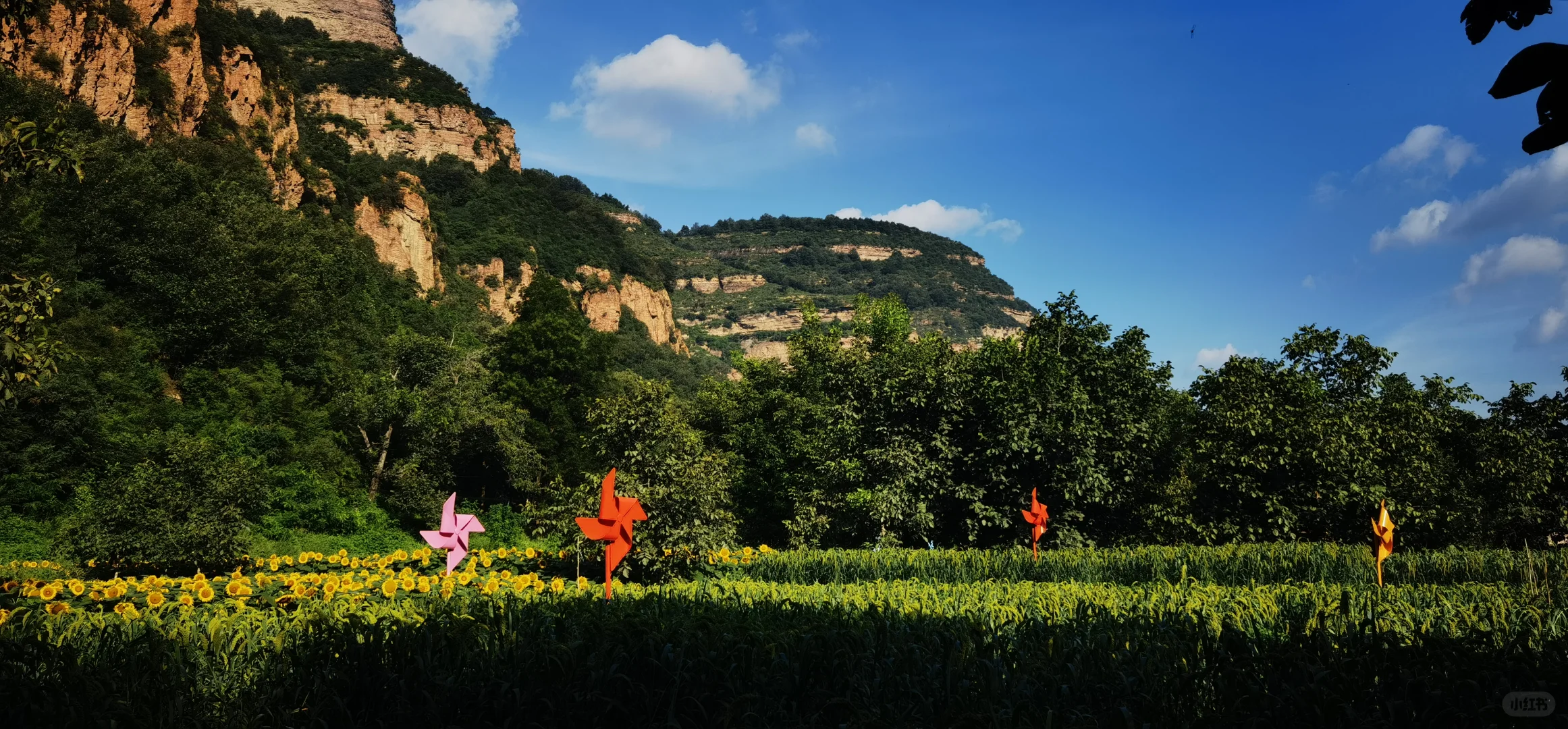 藏着一处即将“解锁”的文旅惊喜——山李冀