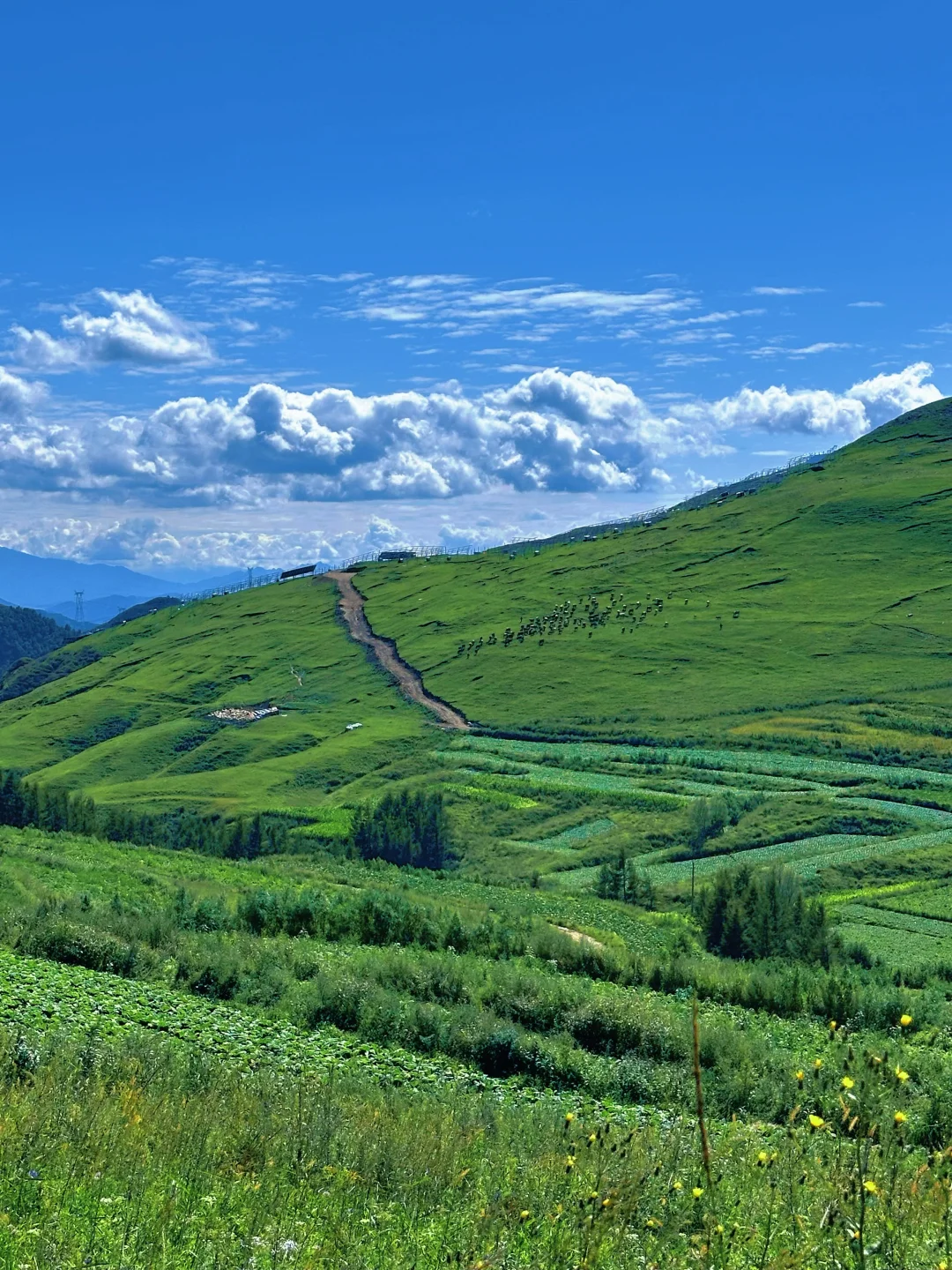 北京周边有自己的小瑞士⛰️