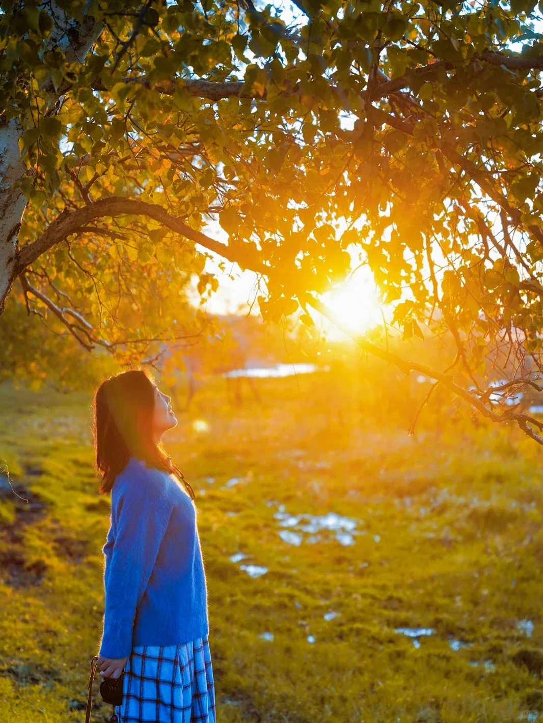 乌兰布统景区地图大全｜超全赏秋攻略！