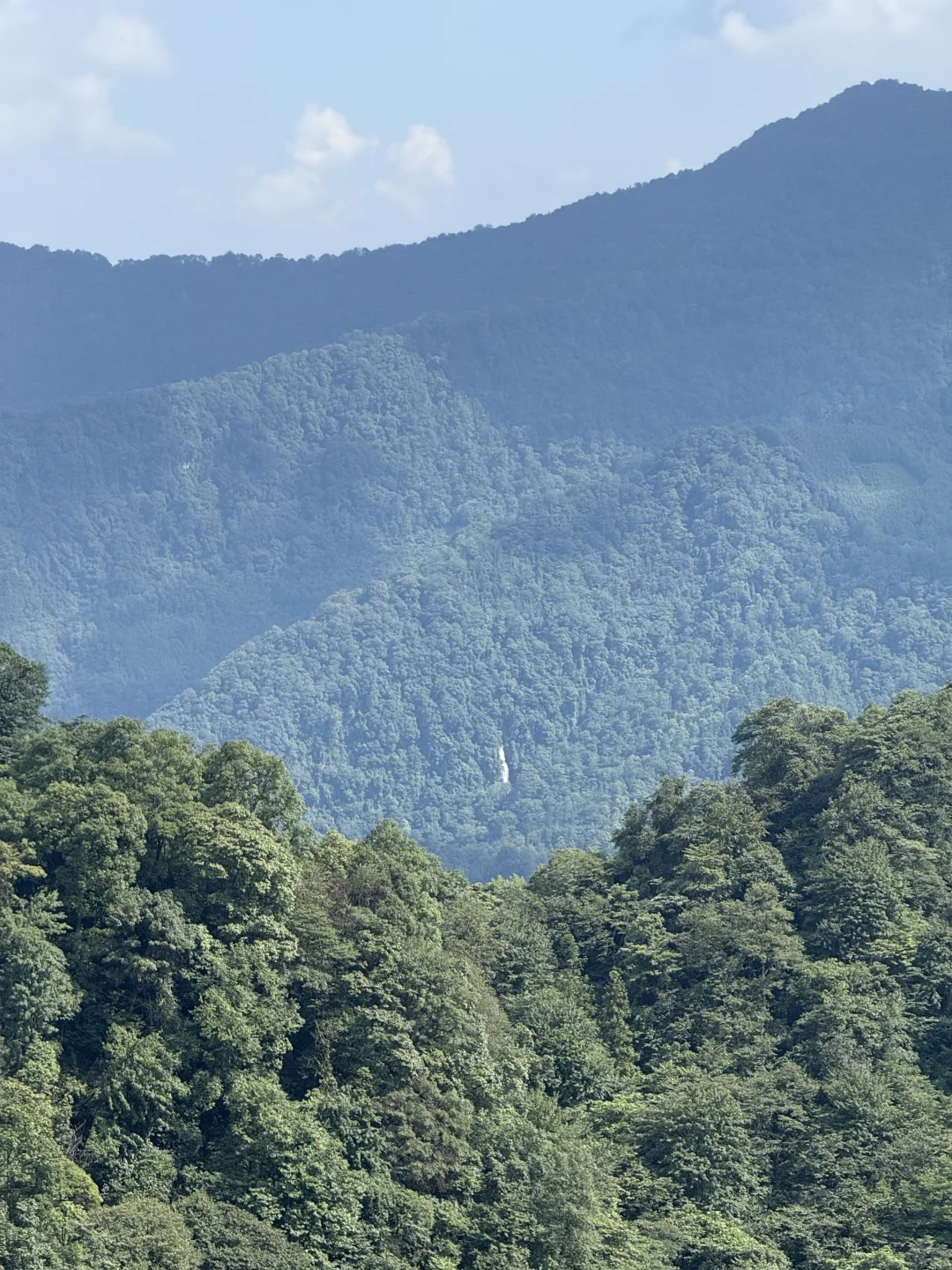 7.27日青城山后山一日游，已老实🥹