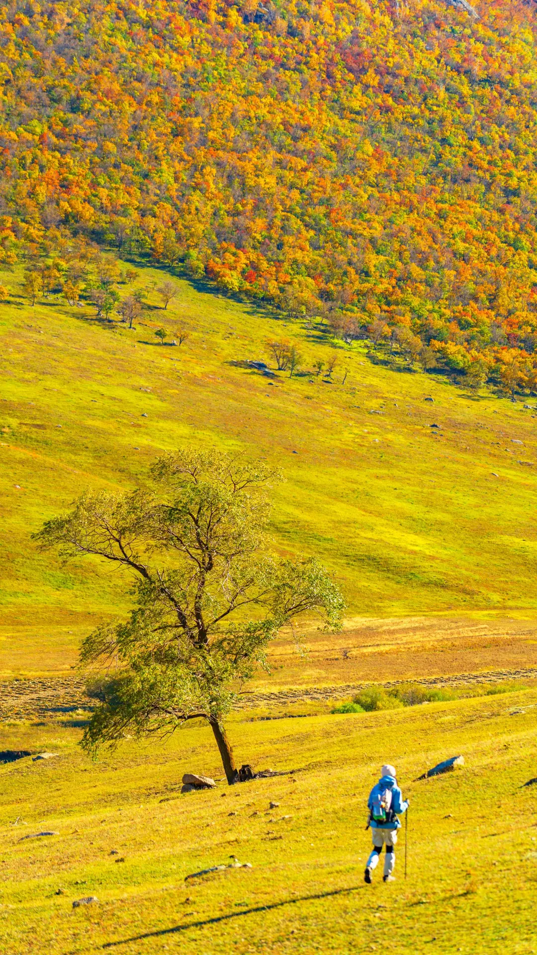 接下来的这里🍁将进入封神级别的秋景模式