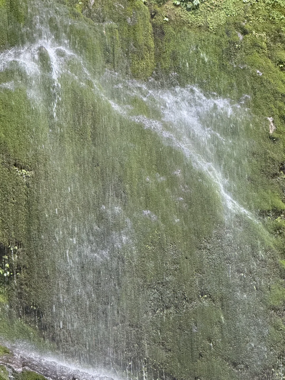 7.27日青城山后山一日游，已老实🥹