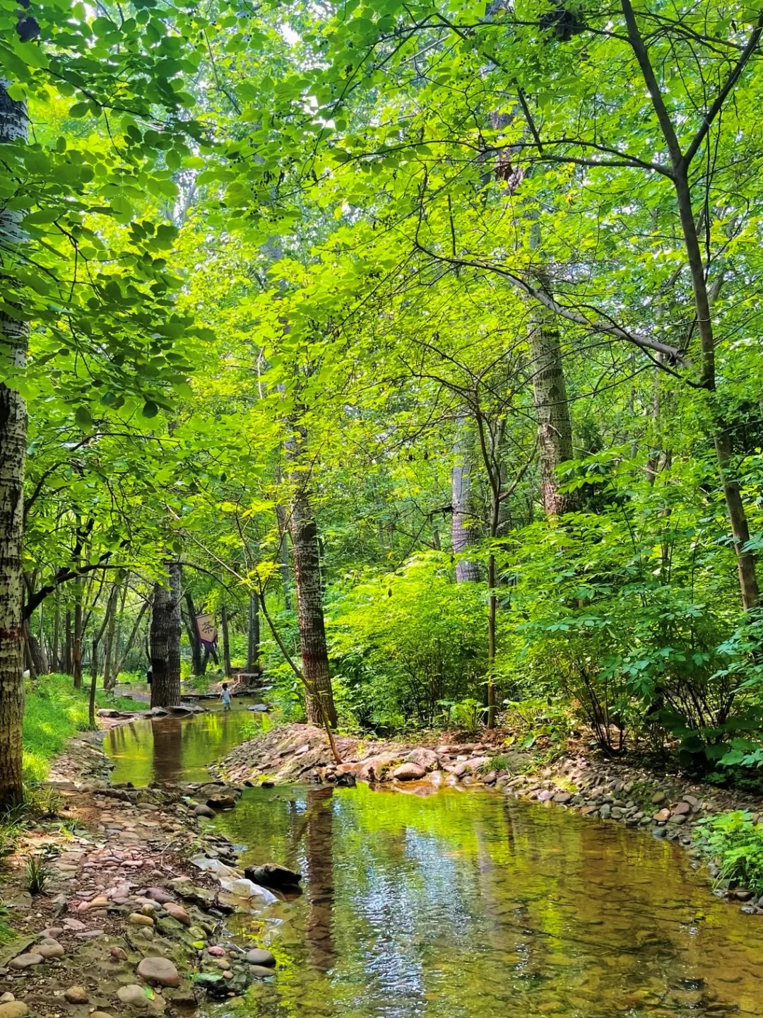 夏日梦幻，误入石家庄版绿野仙踪💚