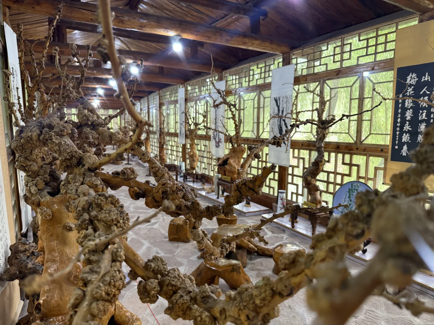 啊啊啊这里也太好拍了，邯郸的绿野仙踪