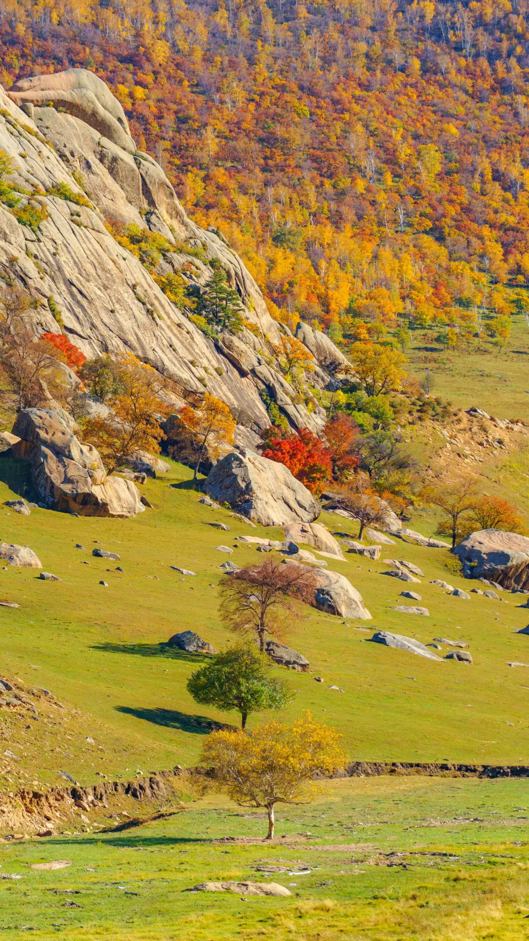 接下来的这里🍁将进入封神级别的秋景模式