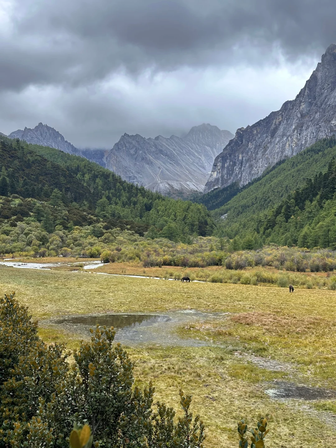 实话难听😓但这就是稻城亚丁10.1国庆现状。。