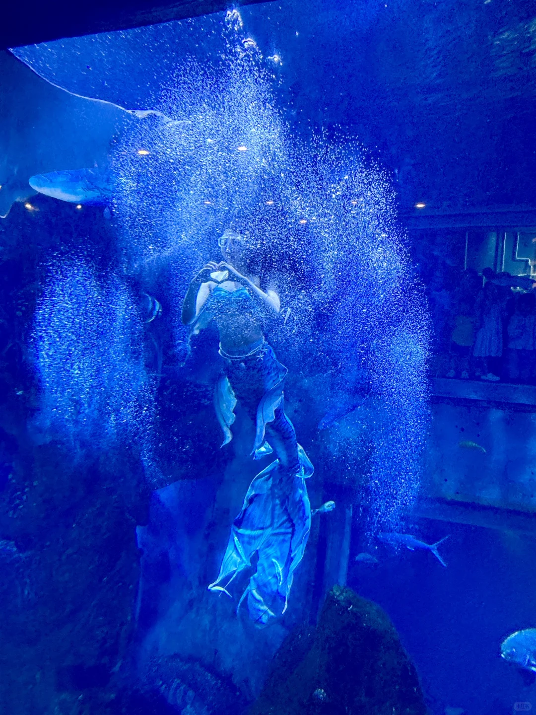 人生建议：带娃来威海一定要留一天给这里❗️