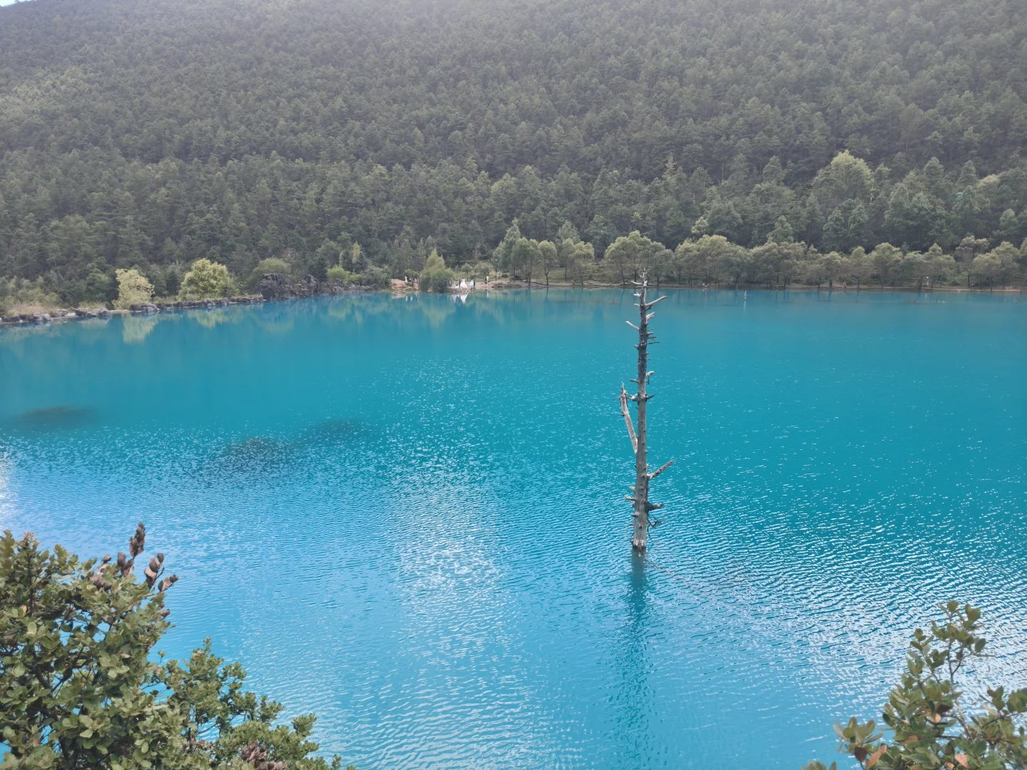 丽江，不会再去第二次（下）