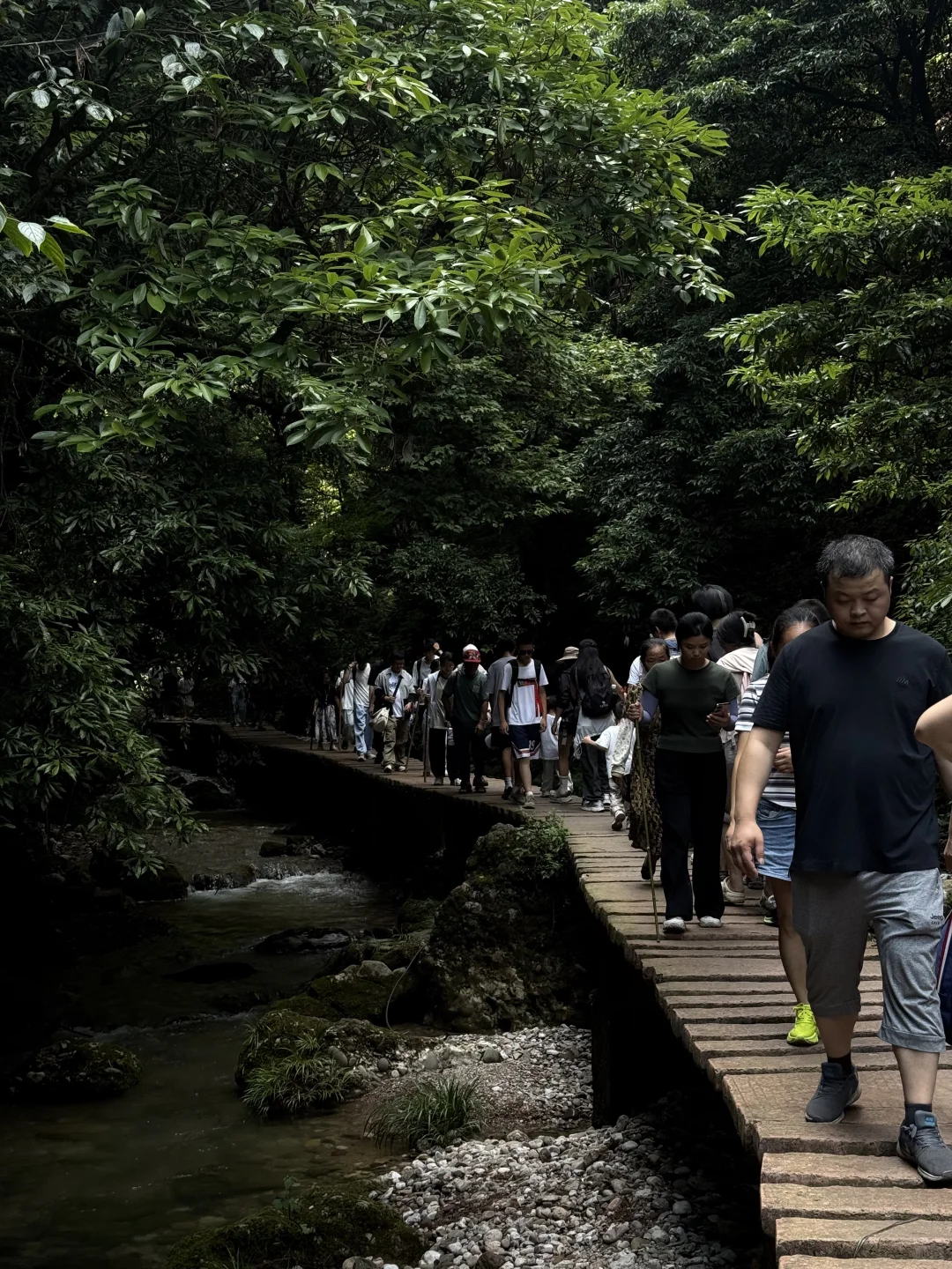 7.27日青城山后山一日游，已老实🥹