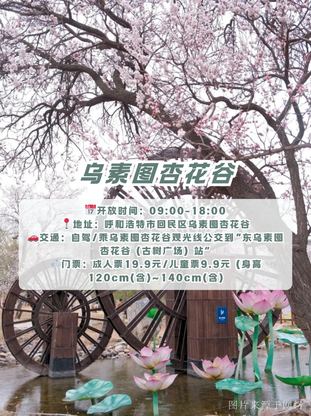 端午吸氧计划🌿呼和浩特8处治愈系秘境