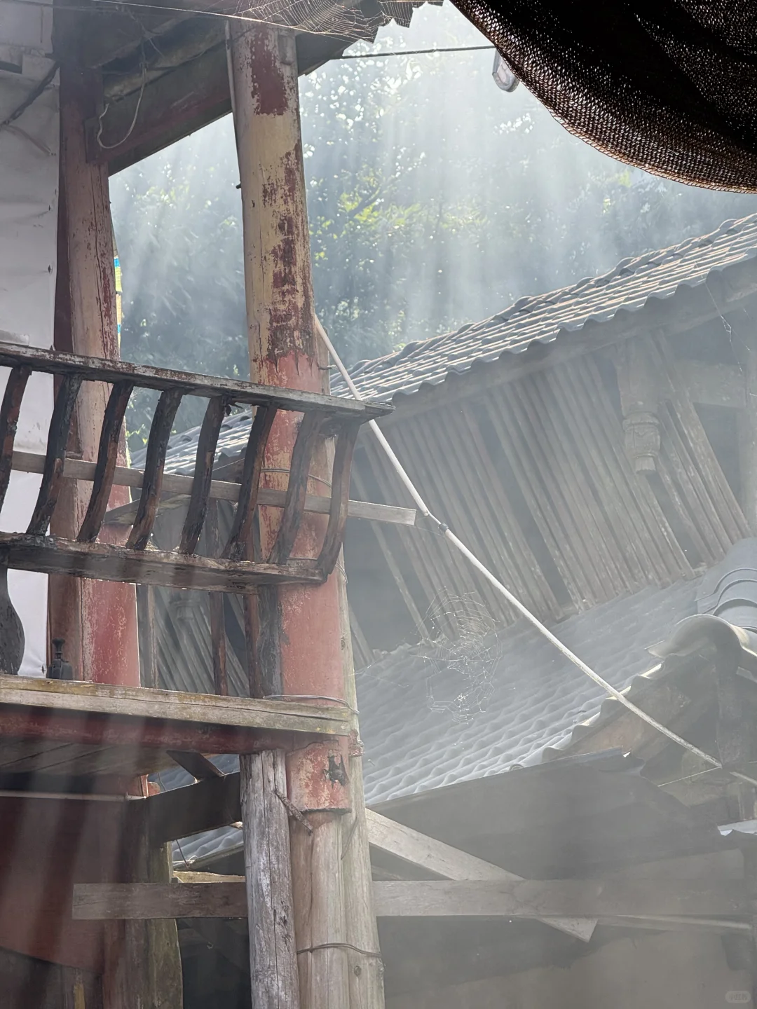 7.27日青城山后山一日游，已老实🥹