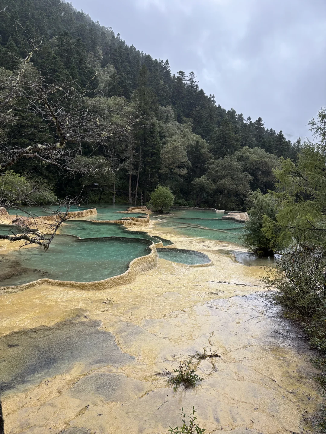 黄龙&九寨沟 大交通及景区交通攻略详解