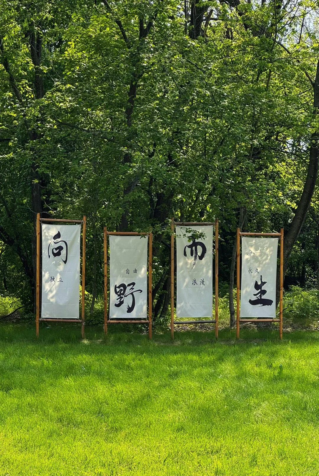 双鸭山宝清翡翠湖·摇篮山芝樱花