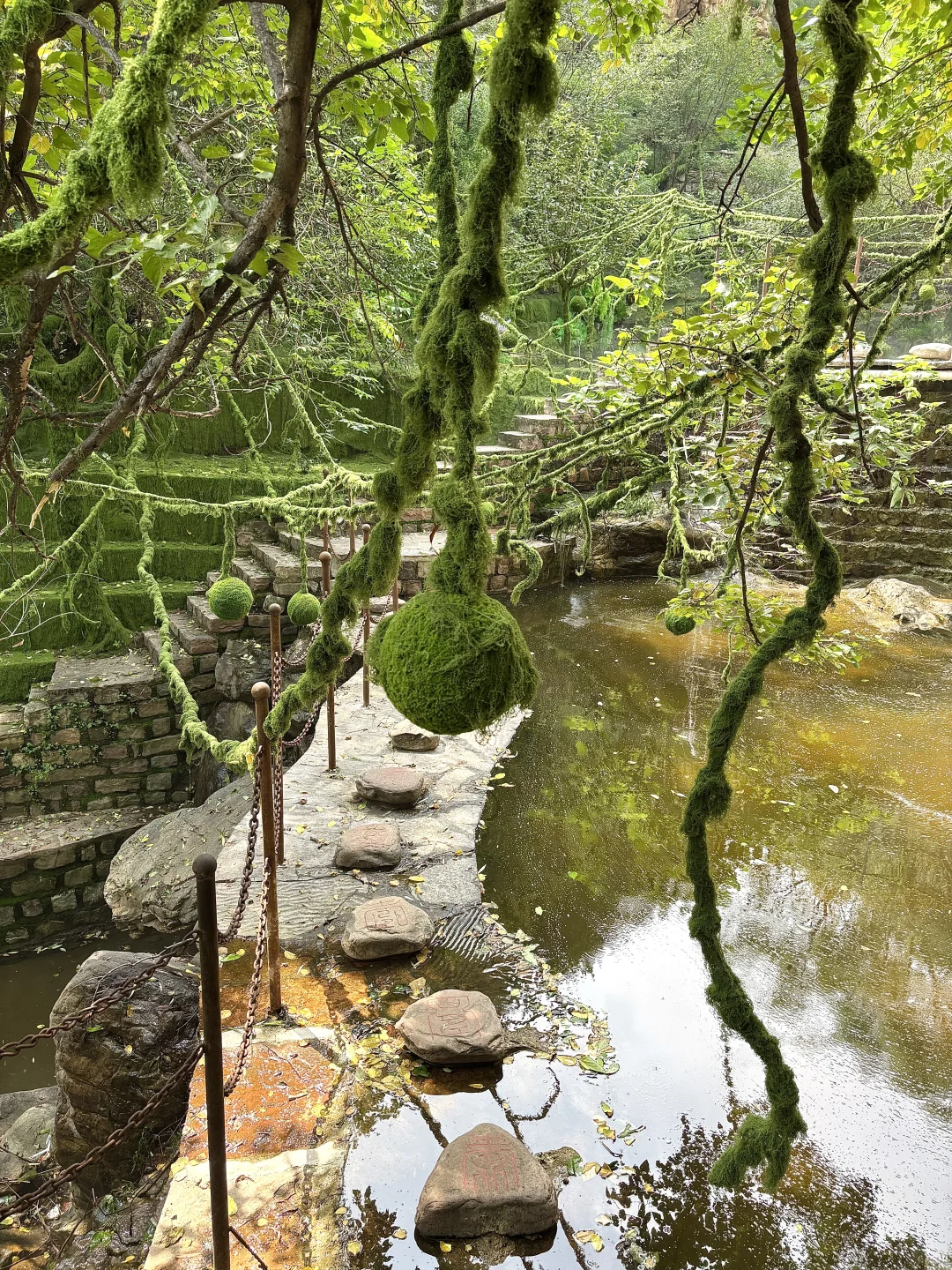 啊啊啊这里也太好拍了，邯郸的绿野仙踪