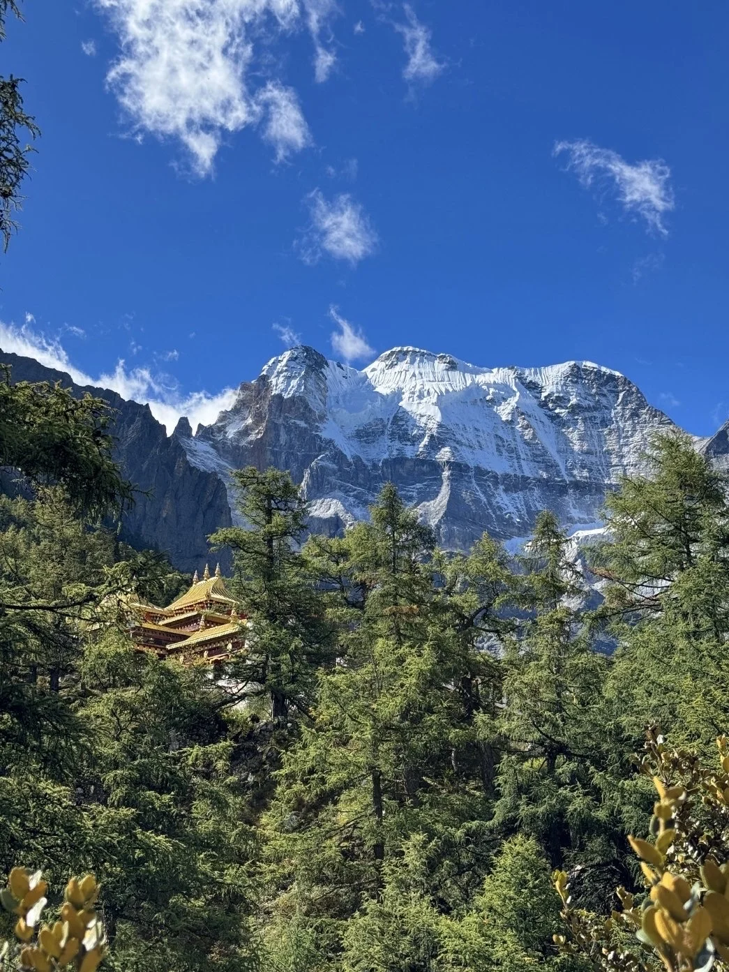 实话难听😓但这就是稻城亚丁10.1国庆现状。。