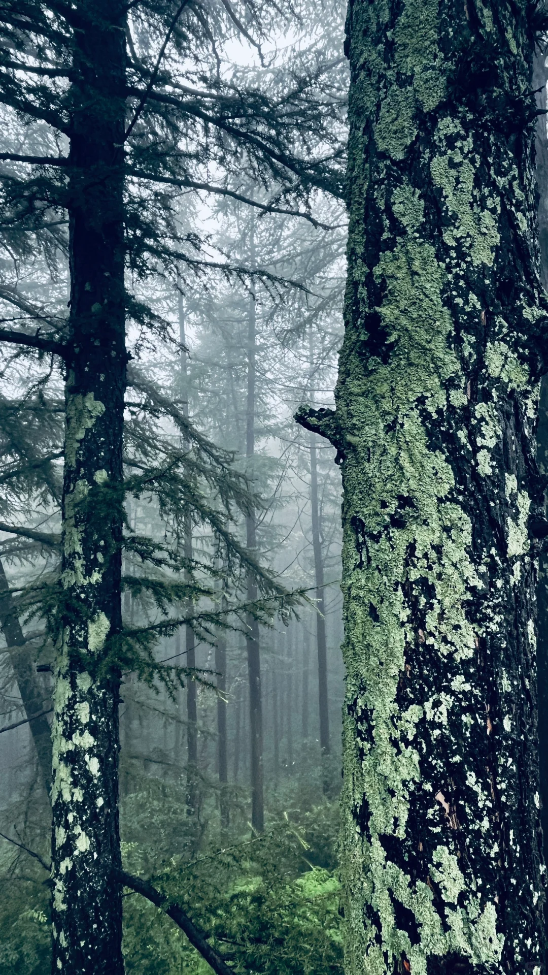 石家庄驼梁周末自驾游不堵车版⛰️