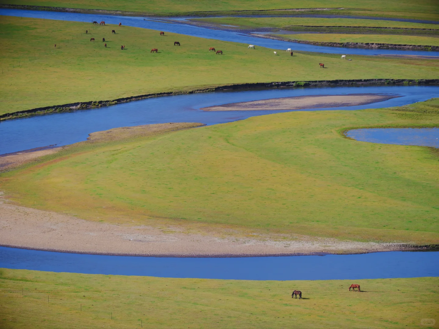 我在呼伦贝尔等你！莫尔格勒河值得