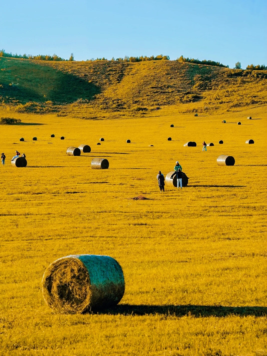 乌兰布统景区地图大全｜超全赏秋攻略！