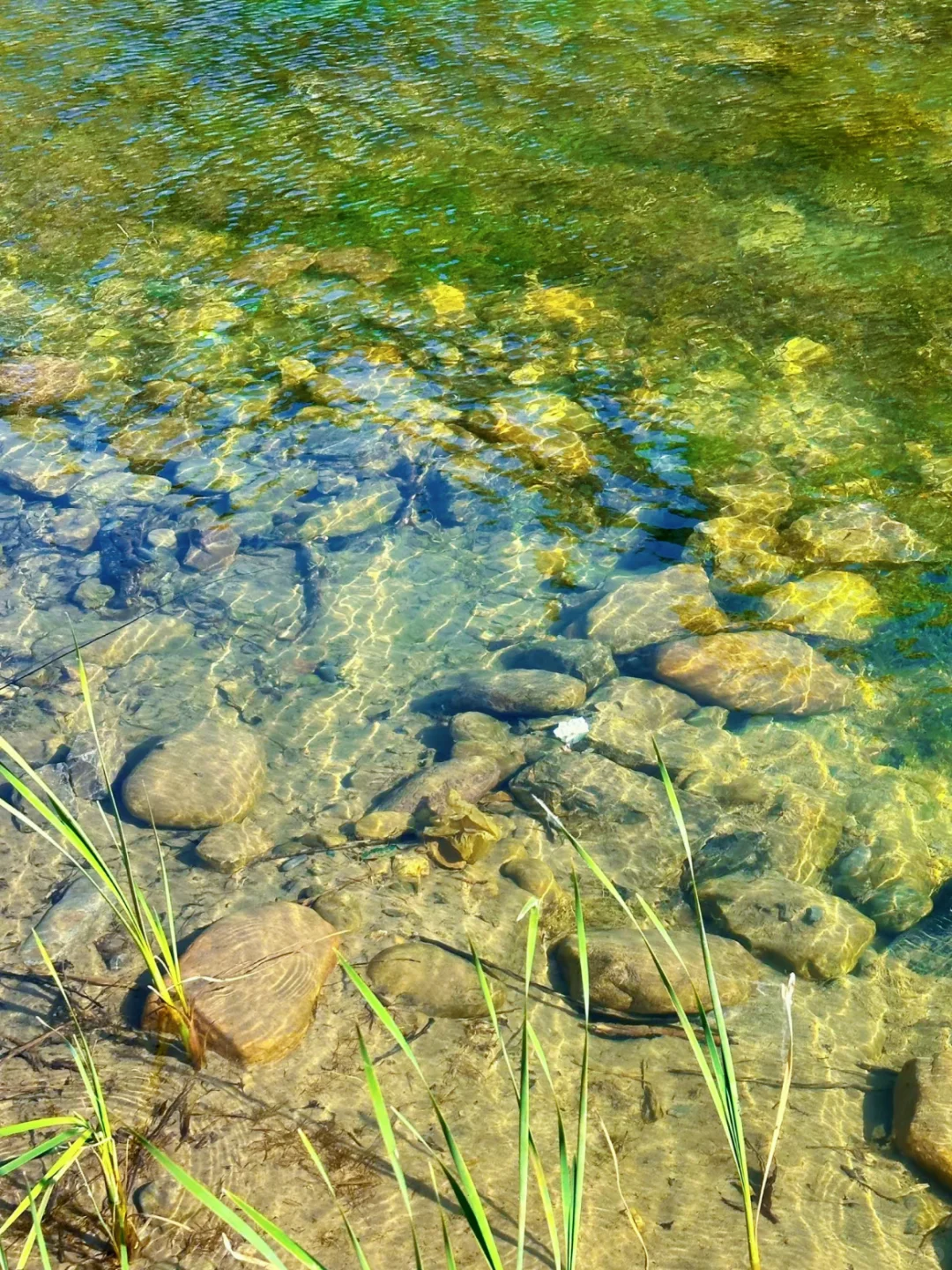 📣这不是九寨沟，是鹤壁❗❗❗