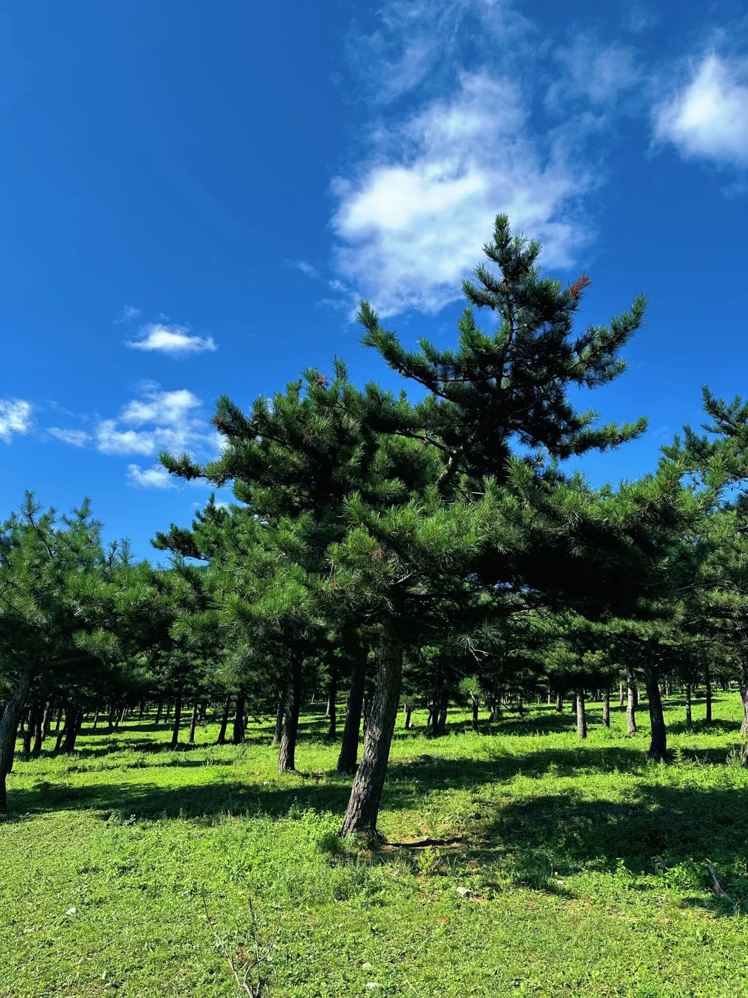 北京周边有自己的小瑞士⛰️