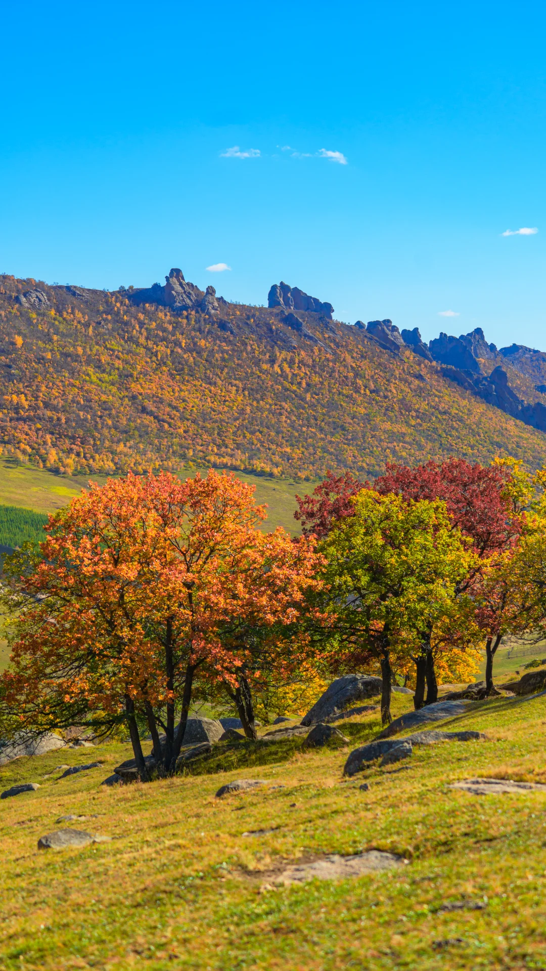接下来的这里🍁将进入封神级别的秋景模式