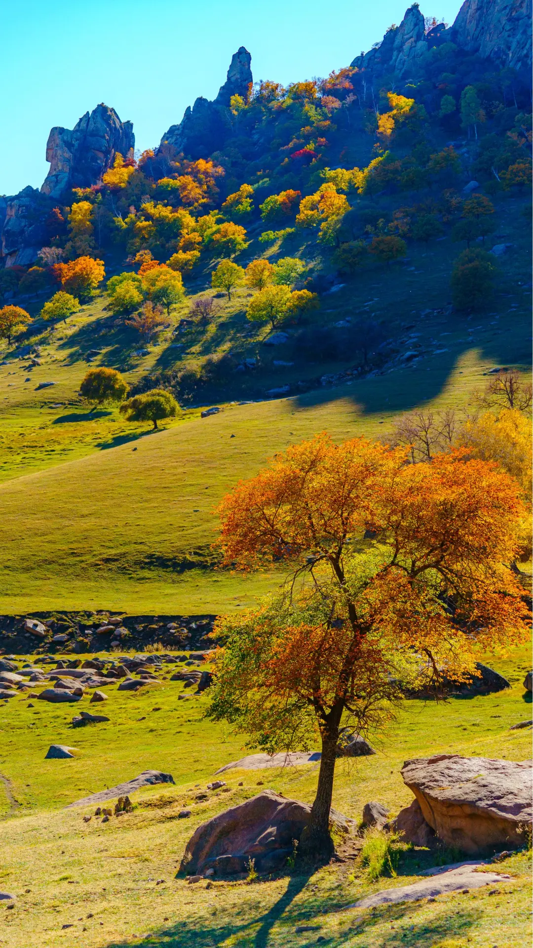 接下来的这里🍁将进入封神级别的秋景模式