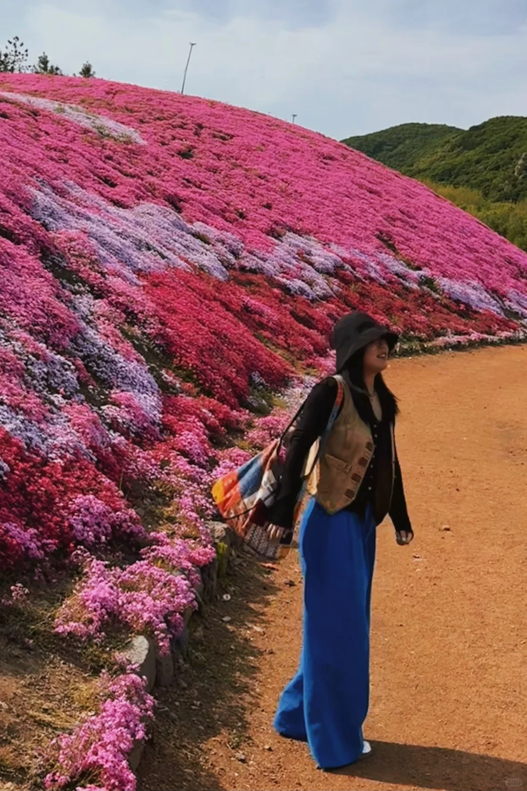 双鸭山宝清翡翠湖·摇篮山芝樱花