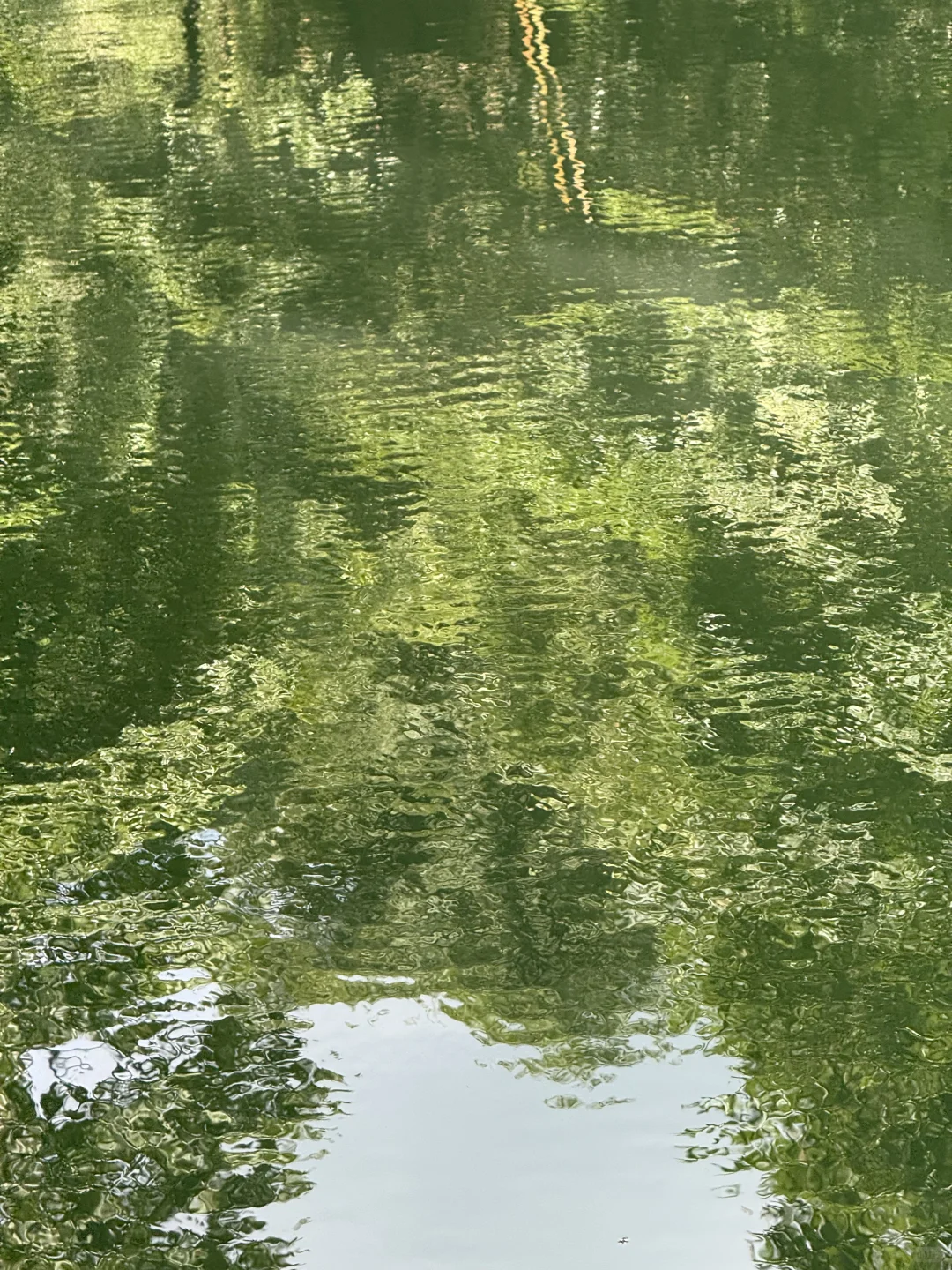 7.27日青城山后山一日游，已老实🥹