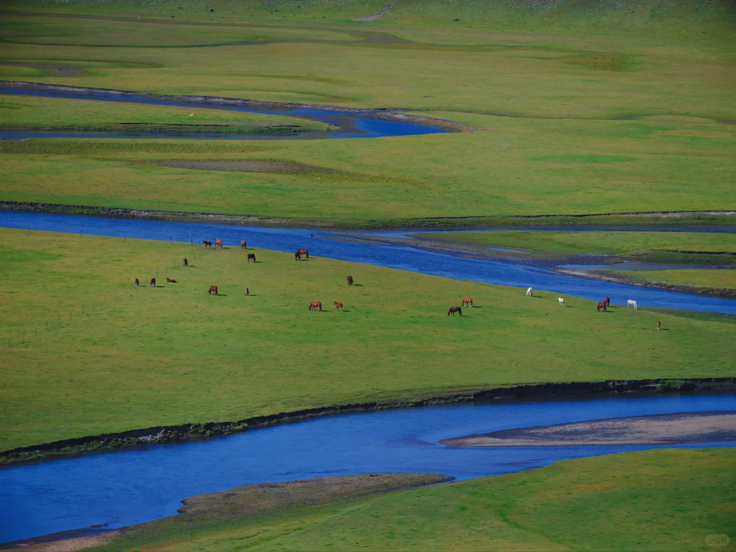 我在呼伦贝尔等你！莫尔格勒河值得