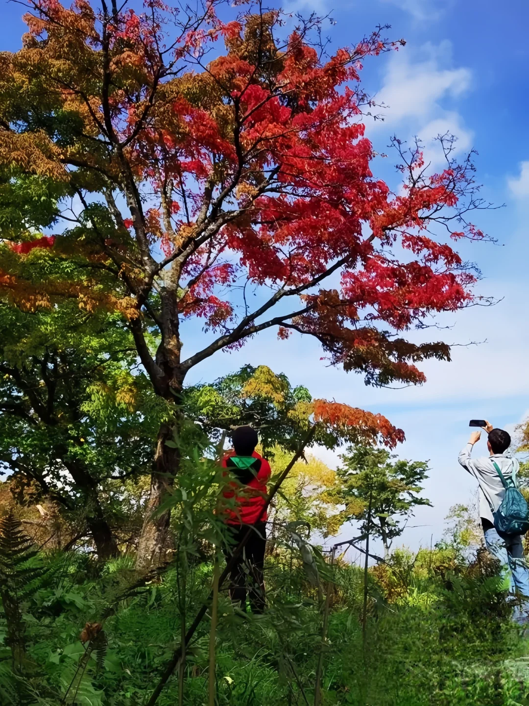 吉林龙湾旅游指南|听劝‼️秋季打卡必冲