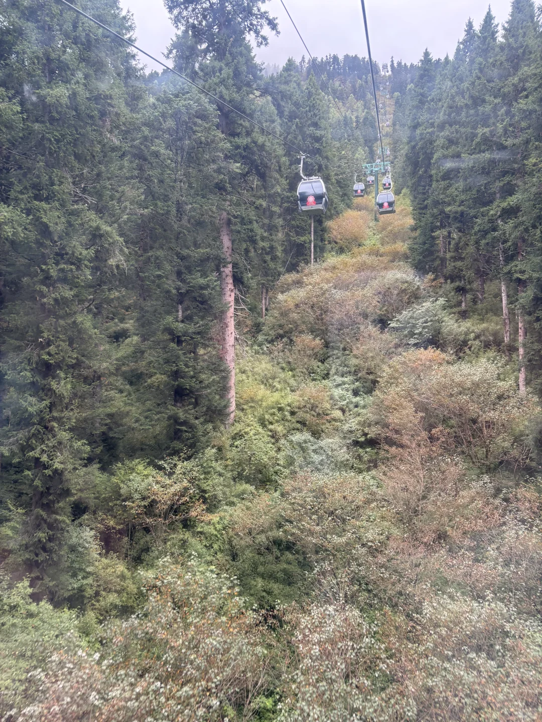 黄龙&九寨沟 大交通及景区交通攻略详解