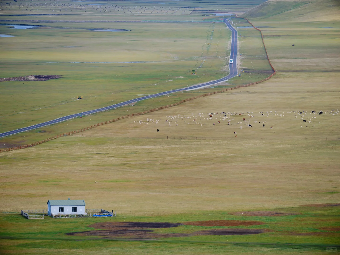 我在呼伦贝尔等你！莫尔格勒河值得
