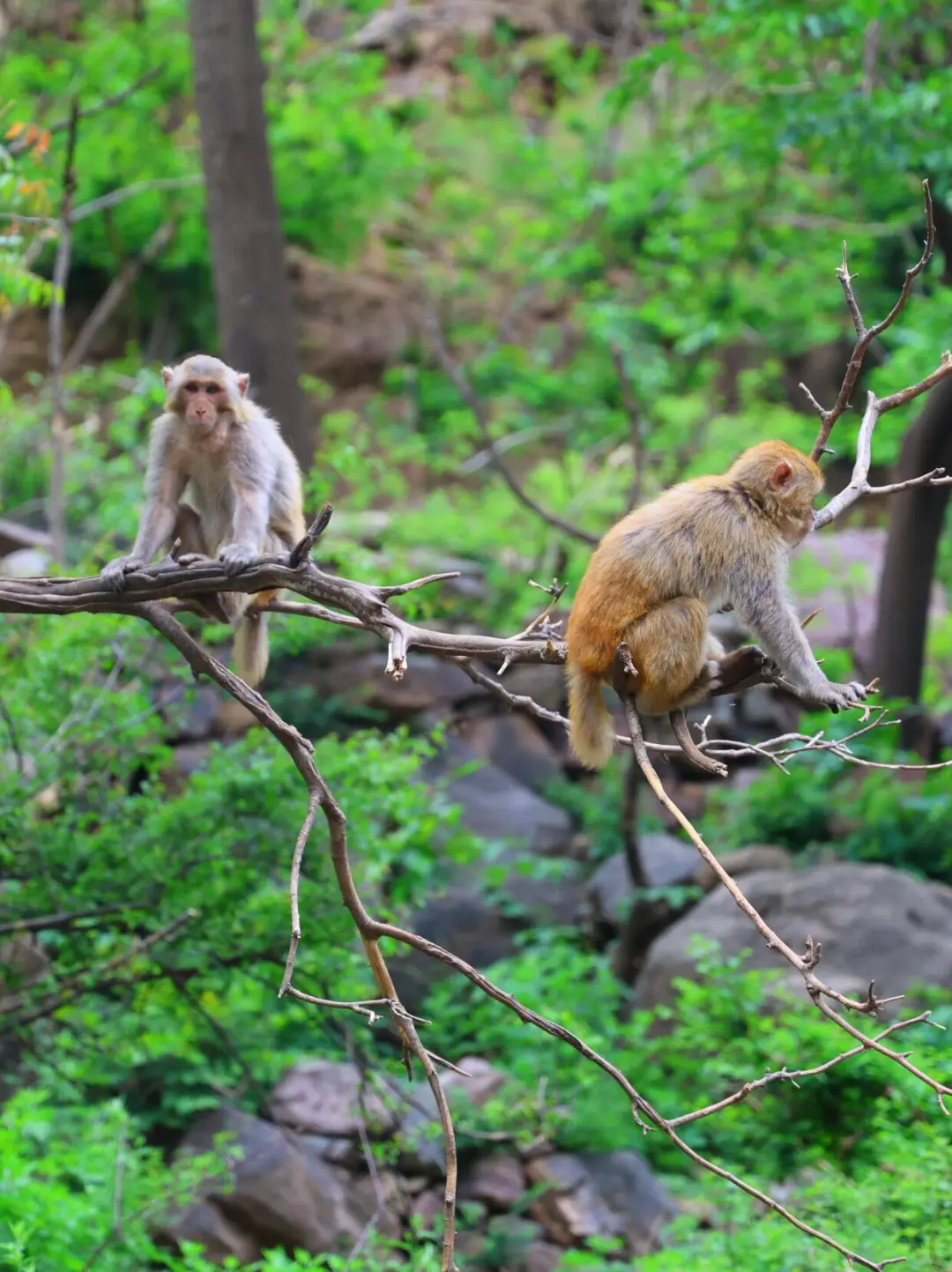 一个被低估的国家AAAAA级景区💥