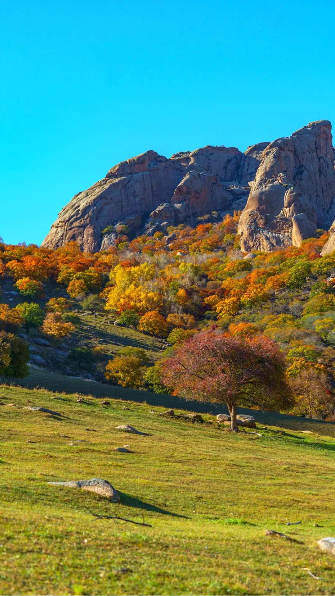 接下来的这里🍁将进入封神级别的秋景模式