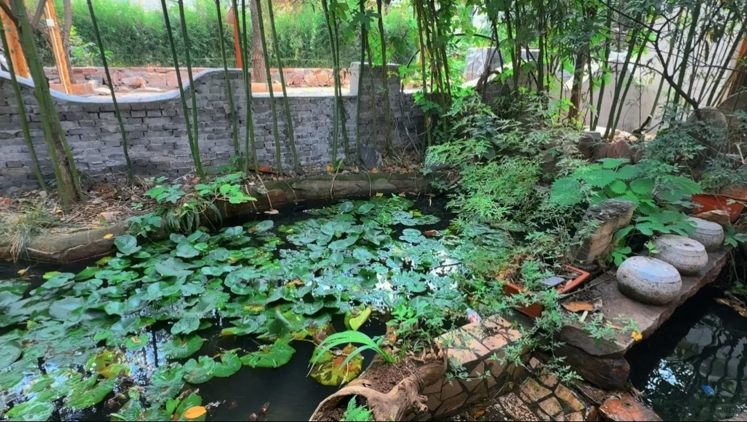 💥被本地人追着问爆的神仙旅行地终于公开