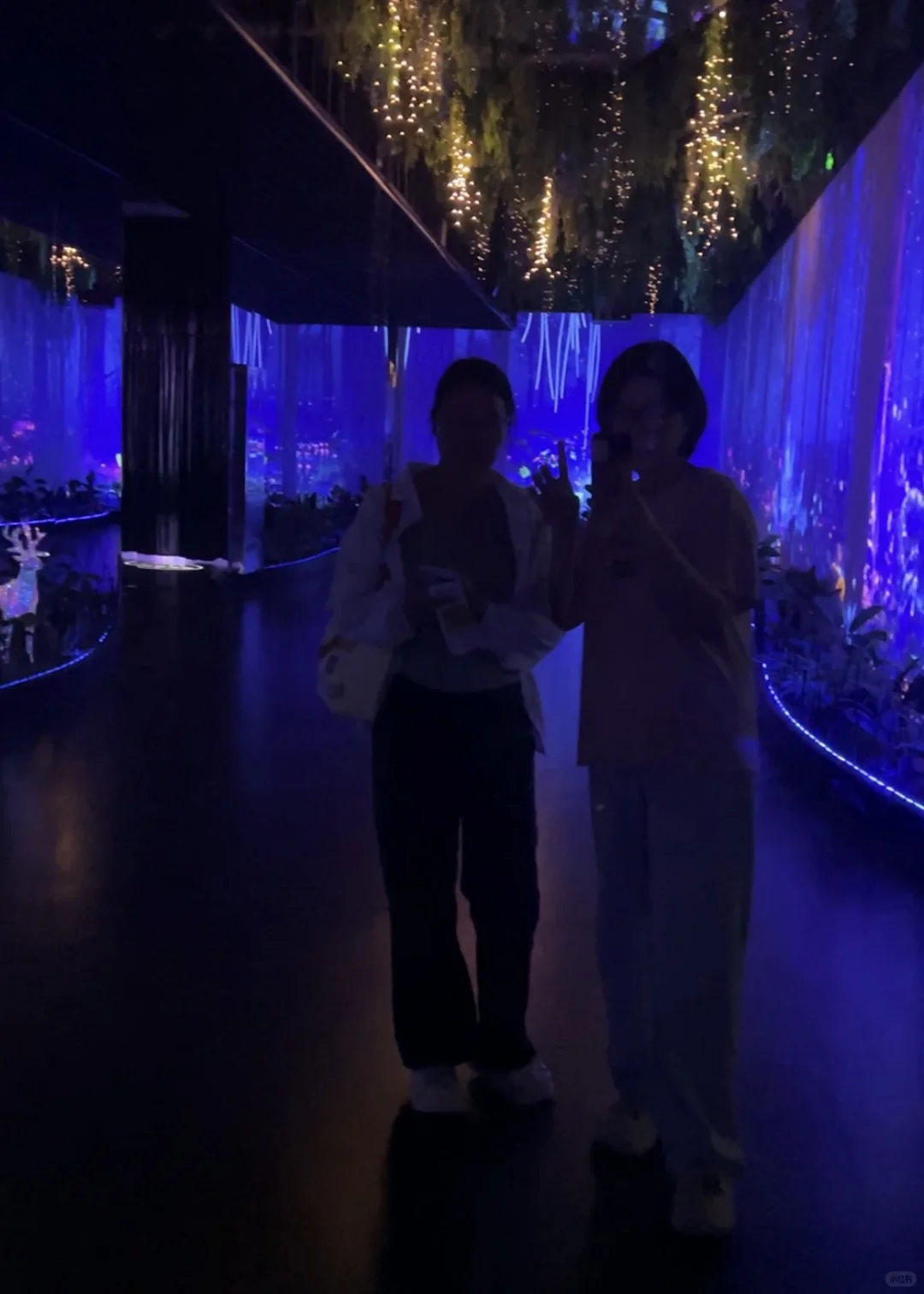 上海千古情景区晚场 99 元血赚！谁玩谁知道！