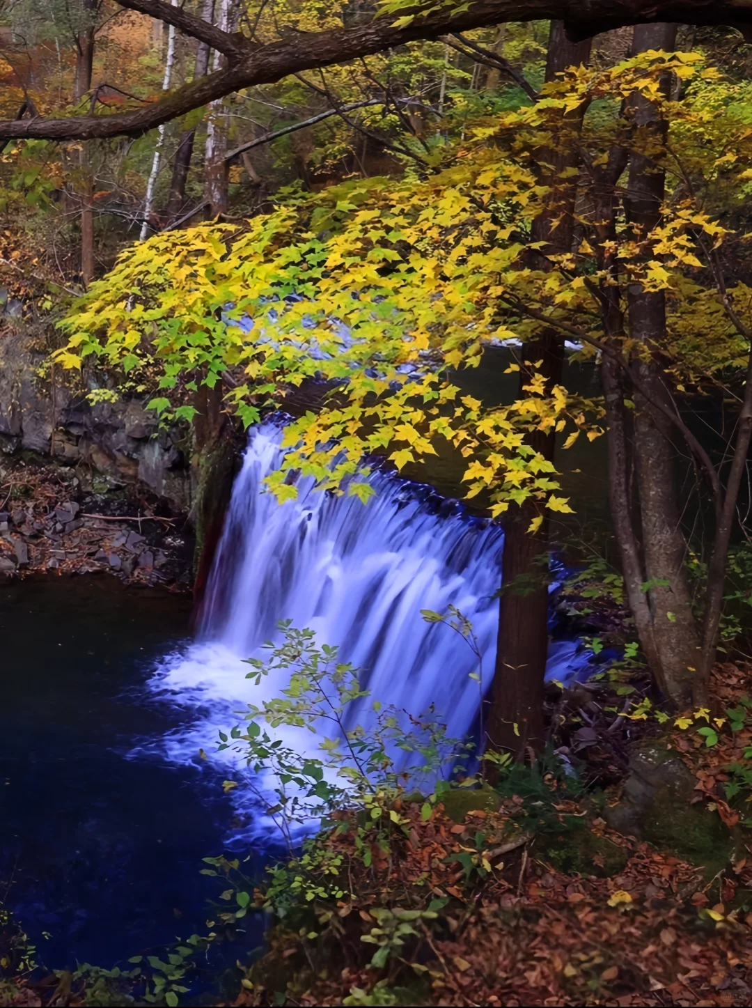 吉林龙湾旅游指南|听劝‼️秋季打卡必冲