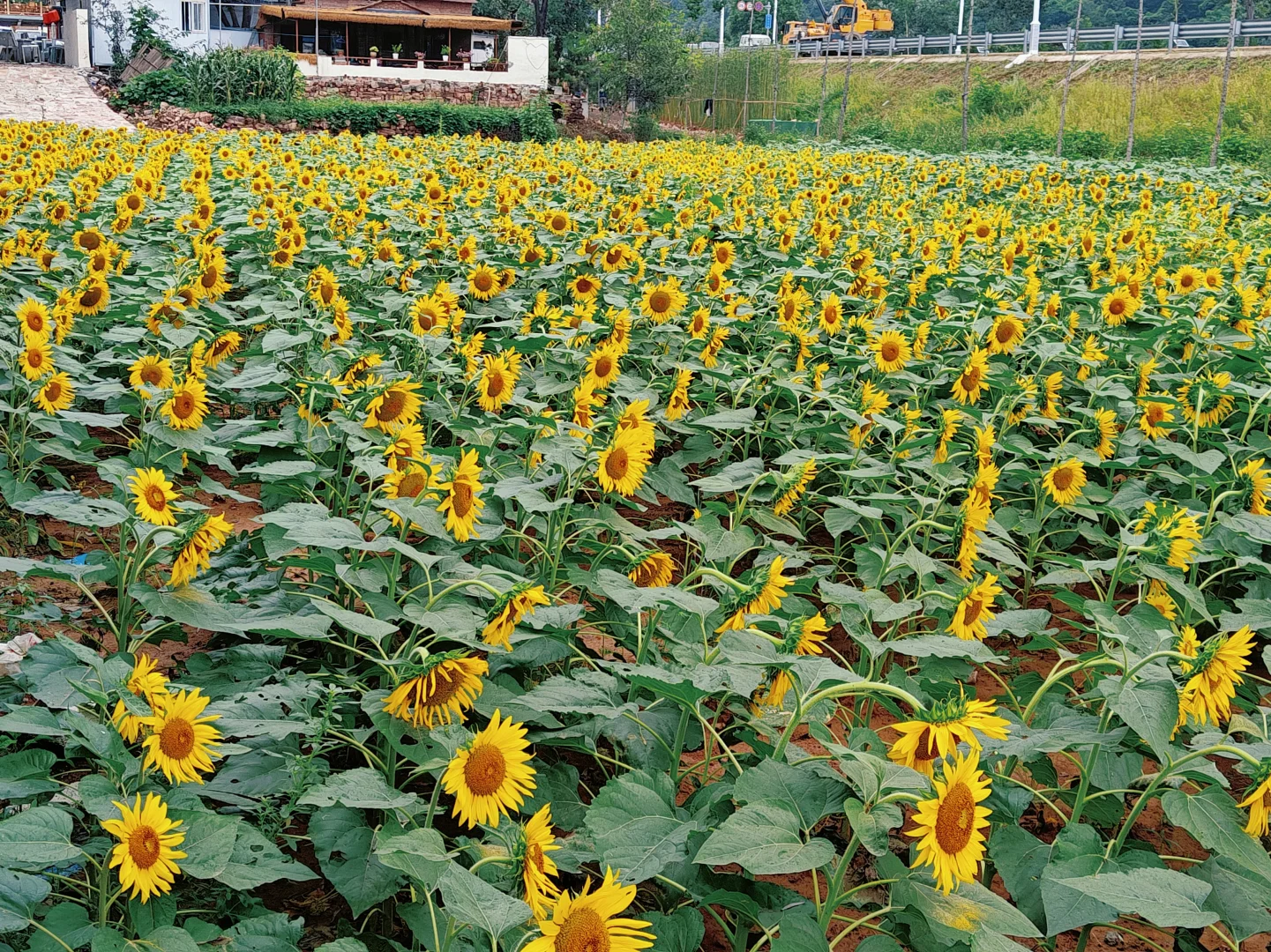 💥被本地人追着问爆的神仙旅行地终于公开