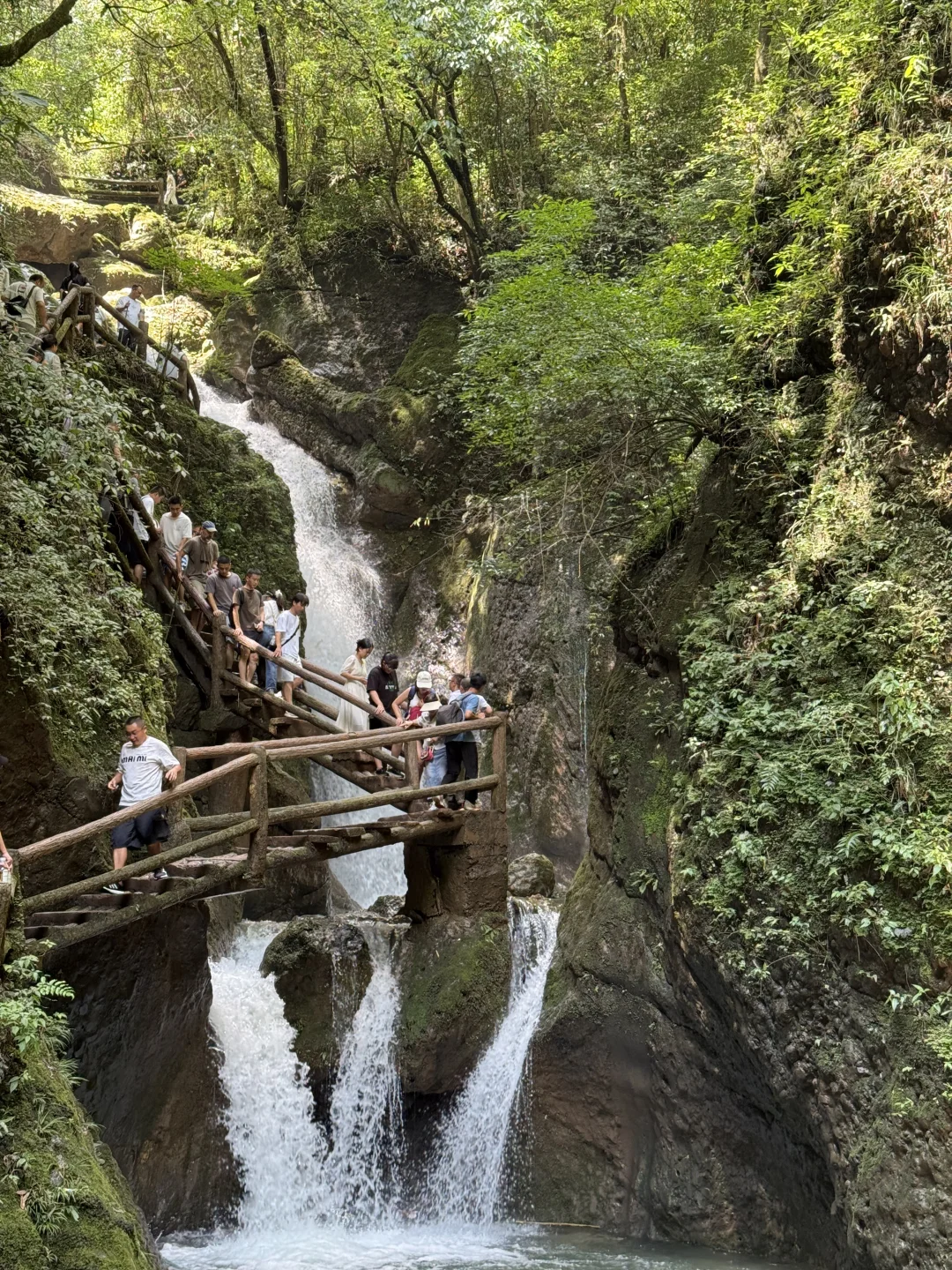 7.27日青城山后山一日游，已老实🥹
