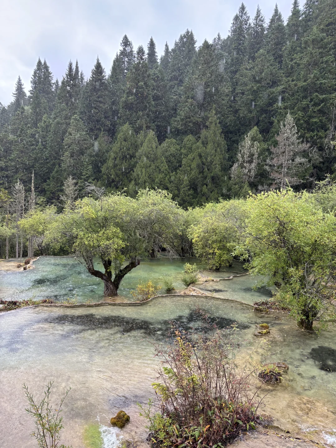 黄龙&九寨沟 大交通及景区交通攻略详解