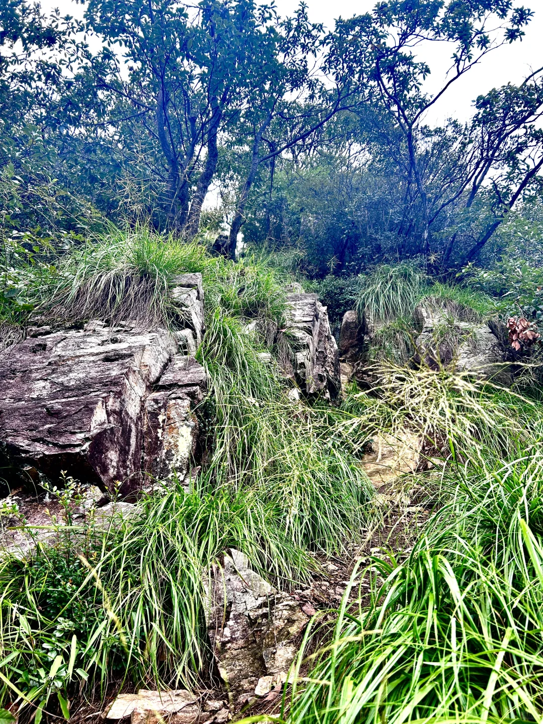 刀枪岩徒步｜手脚并用爬野山，解锁江南小华山