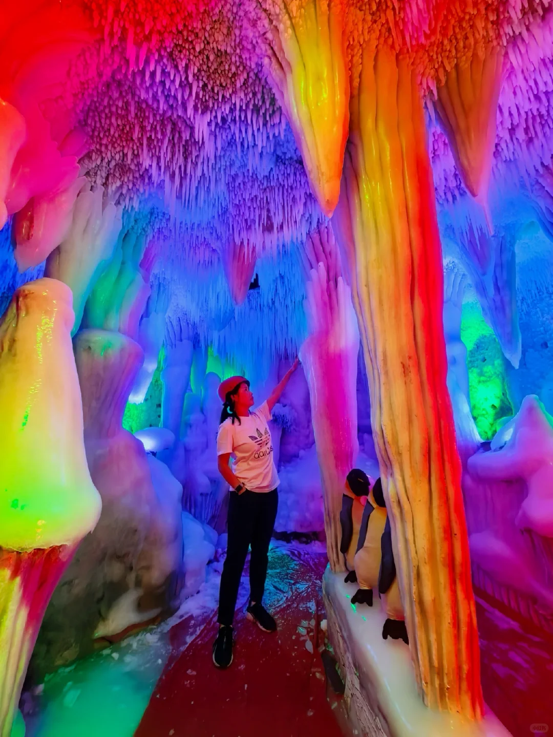 🌳江西铜鼓东浒！千年古樟与地下冰洞奇观